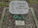 image of grave number 459033
